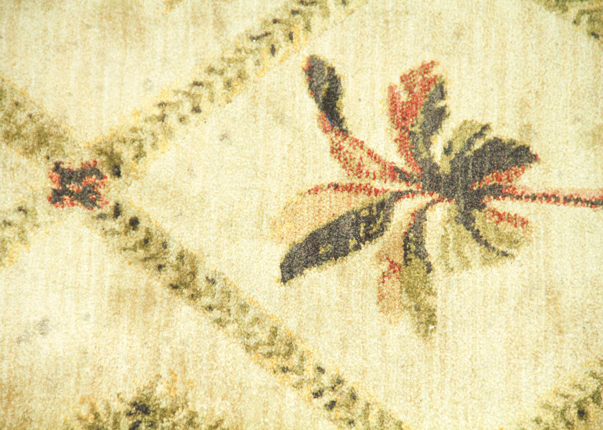 Tommy Bahama Palm Tree Area Rug EBTH